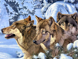 обоя рисованное, животные,  волки, волки, снег, стая, лес