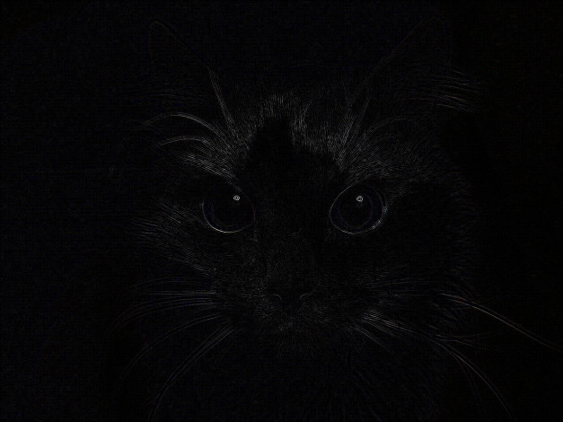 Обои картинки фото dark, cat, рисованные, животные, коты