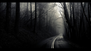 Картинка ночная дорога осеннем лесу природа дороги лес осень ночь
