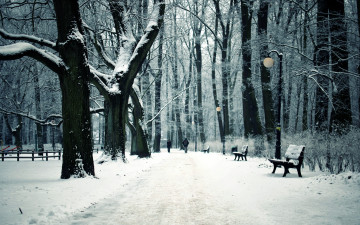 Картинка природа зима лавки дорожки деревья снег парк