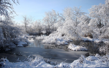 Картинка природа зима река кусты пейзаж