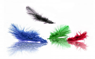 Картинка разное перья разноцветный
