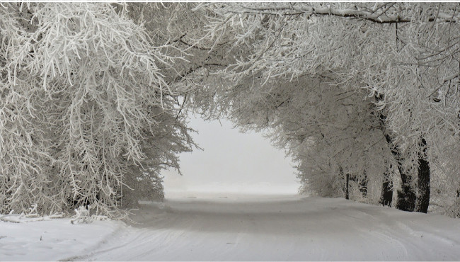 Обои картинки фото природа, зима, деревья, пейзаж, снег, дорога