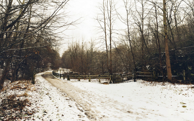 Обои картинки фото природа, зима, снег, деревья, забор, пейзаж