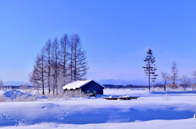 Обои картинки фото природа, зима, поле, дом, деревья, снег