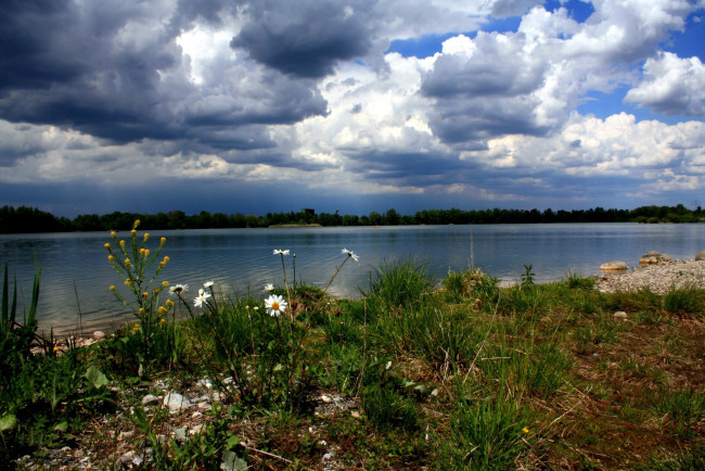 Обои картинки фото природа, реки, озера, ромашки, облака, река