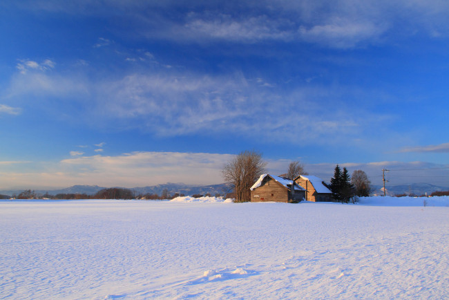 Обои картинки фото природа, зима, дом, деревья, снег, поле