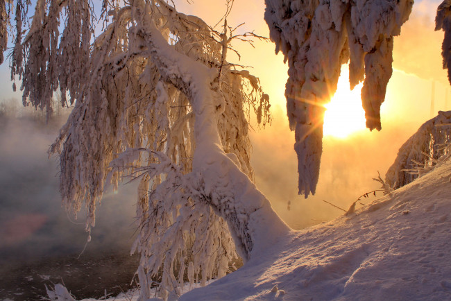 Обои картинки фото природа, зима, рассвет, солнце, снег