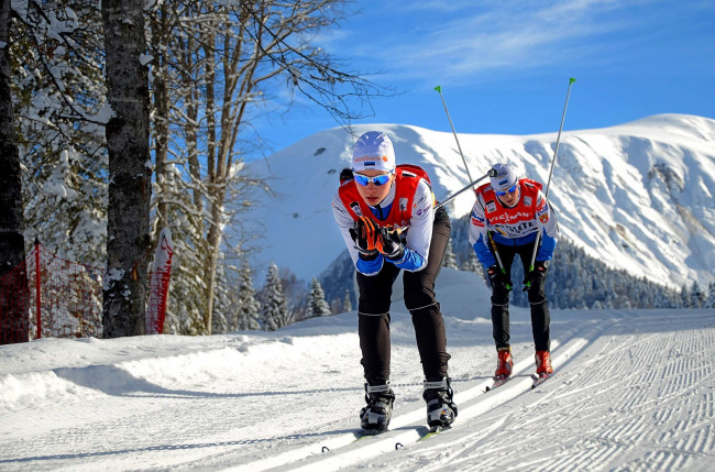 Обои картинки фото спорт, лыжный спорт, трасса, деревья, лыжи, снег, гора, спортсмены, лыжня, лыжники