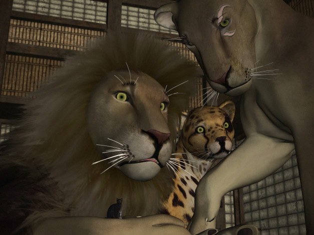 Обои картинки фото 3д графика, животные , animals, взгляд, львы, семя