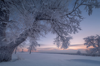 Картинка природа зима белая гора ветки деревья снег рассвет россия утро крест пермский край