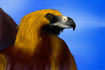 Картинка рисованное животные +птицы +орлы орел беркут