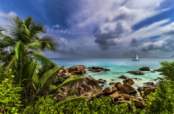 Картинка разное компьютерный+дизайн природа пляж тропики море пальмы