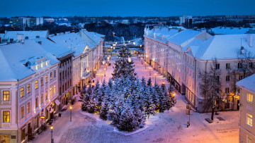 обоя города, - улицы,  площади,  набережные, площадь, рождество, елки, тарту, эстония
