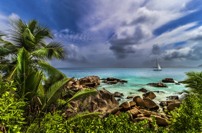 Обои картинки фото разное, компьютерный дизайн, природа, пляж, тропики, море, пальмы