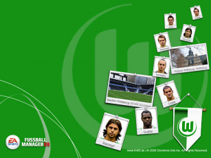 Картинка видео игры fifa manager 09