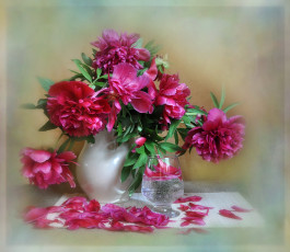 обоя цветы, пионы, ваза