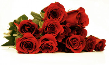 Картинка цветы розы красный букет