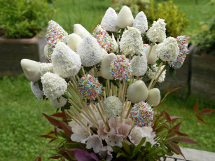 Картинка еда конфеты +шоколад +сладости клубника шоколад цветы присыпка кокос