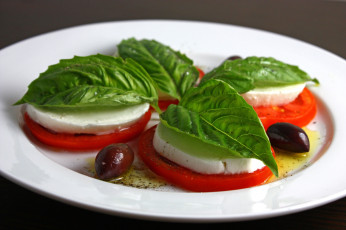 Картинка еда салаты +закуски соус сыр зелень помидоры