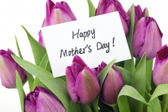 обоя праздничные, международный женский день - 8 марта, цветы, тюльпаны, любовь