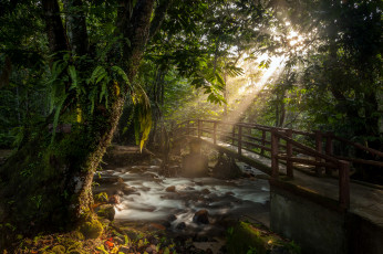 Картинка природа реки озера лес речка мост свет лучи