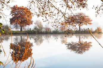 Картинка природа реки озера река деревья отражение