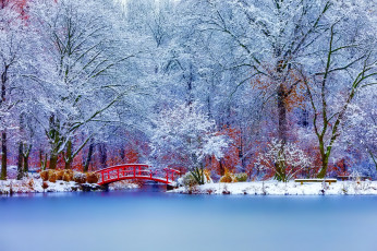 Картинка природа зима снег пейзаж деревья