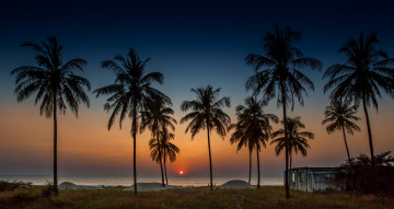 Картинка природа тропики пальмы берег океан вечер солнце горизонт