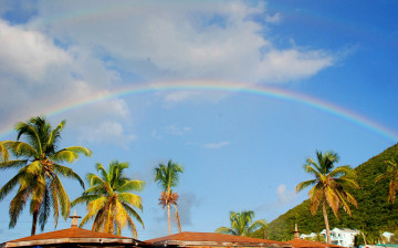 Картинка природа радуга пальмы небо пейзаж