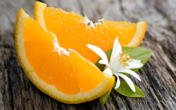 Картинка еда цитрусы цветочек цветок апельсины дольки апельсин