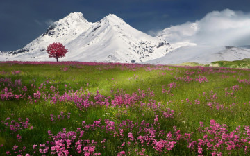 Картинка природа луга горы снег весна зима