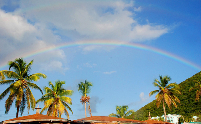 Обои картинки фото природа, радуга, пальмы, небо, пейзаж