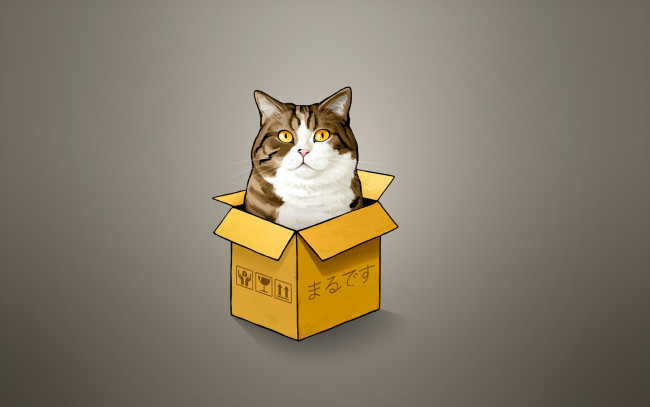 Обои картинки фото кошка в коробке, рисованные, животные,  коты, cat, коробка, кошка, кот