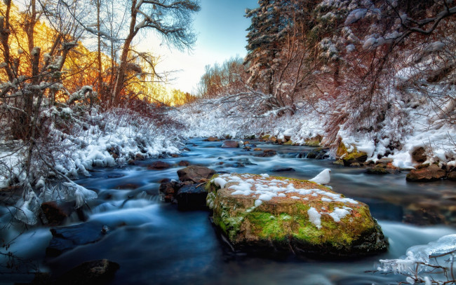 Обои картинки фото природа, реки, озера, река, камни, деревья, зима
