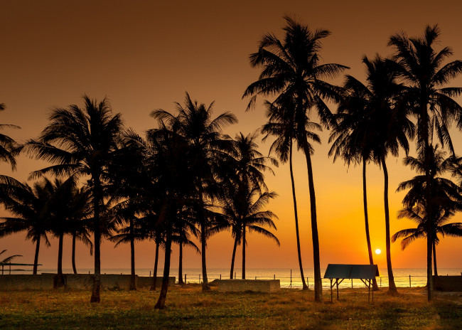 Обои картинки фото природа, тропики, вечер, пальмы, берег, горизонт, солнце, океан