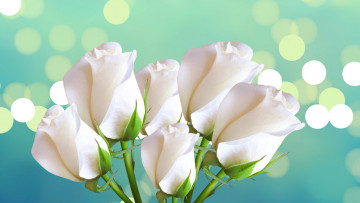 Картинка цветы розы блик лепестки букет