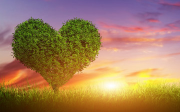 Картинка разное компьютерный+дизайн дерево любовь sunset green heart love tree закат сердце