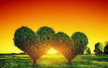 Картинка разное компьютерный+дизайн сердце закат дерево heart tree love любовь sunset green