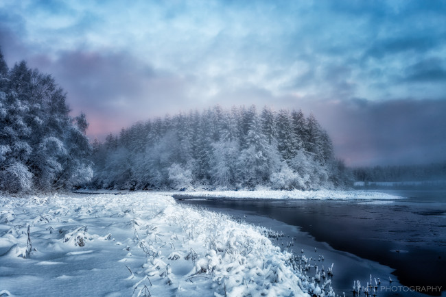 Обои картинки фото природа, зима, лес, река