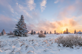 Картинка природа зима закат поле