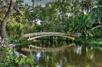 Картинка природа парк мостик пальмы водоем