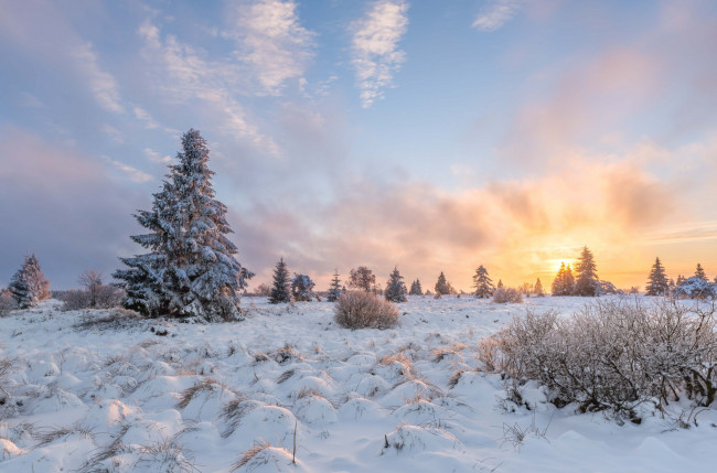 Обои картинки фото природа, зима, закат, поле