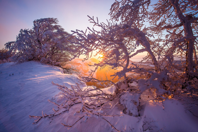 Обои картинки фото природа, зима, деревья, switzerland, восход, рассвет, jura, mountains, горы, юра, утро, швейцария, снег