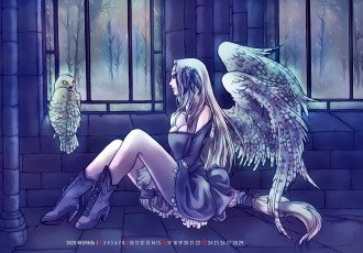 Картинка календари фэнтези окно сова птица девушка ангел крылья помещение calendar 2020