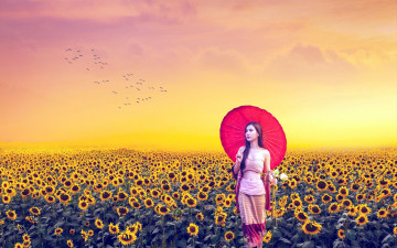 Картинка девушки -+азиатки подсолнухи азиатка зонтик