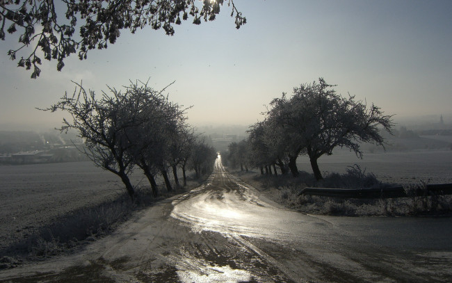 Обои картинки фото природа, дороги, пейзаж, дорога, туман, утро
