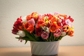 Картинка цветы тюльпаны букет охапка