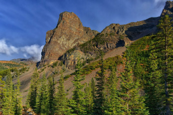 Картинка природа горы лес скалы
