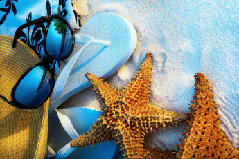 Картинка разное ракушки +кораллы +декоративные+и+spa-камни beach vacation summer sand starfish